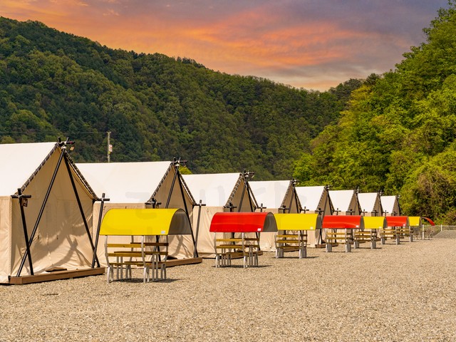 자작나무 패밀리룸