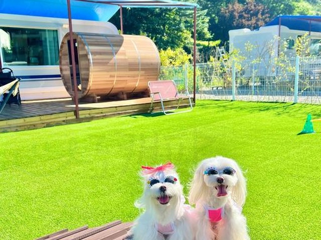 딩동댕 카라반 러브2,3